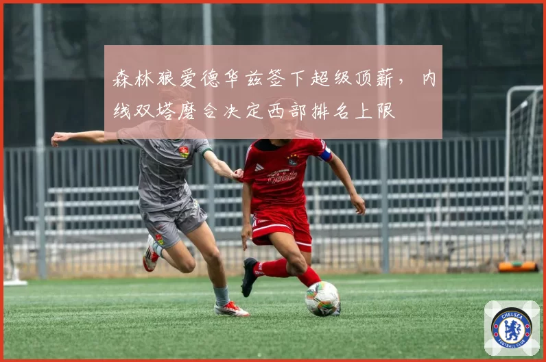 森林狼爱德华兹签下超级顶薪，内线双塔磨合决定西部排名上限