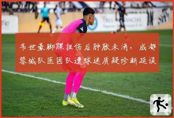 韦世豪脚踝扭伤后肿胀未消，成都蓉城队医团队遭球迷质疑诊断延误